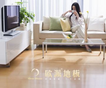 強(qiáng)化地板