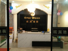 安徽碭山歐派地板1118活動