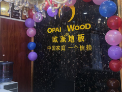 溫嶺城南歐派地板專賣店11.18特惠活動