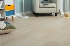 OPD-FS5201多層實(shí)木鎖扣地?zé)岬匕?/></a>
					<a href=