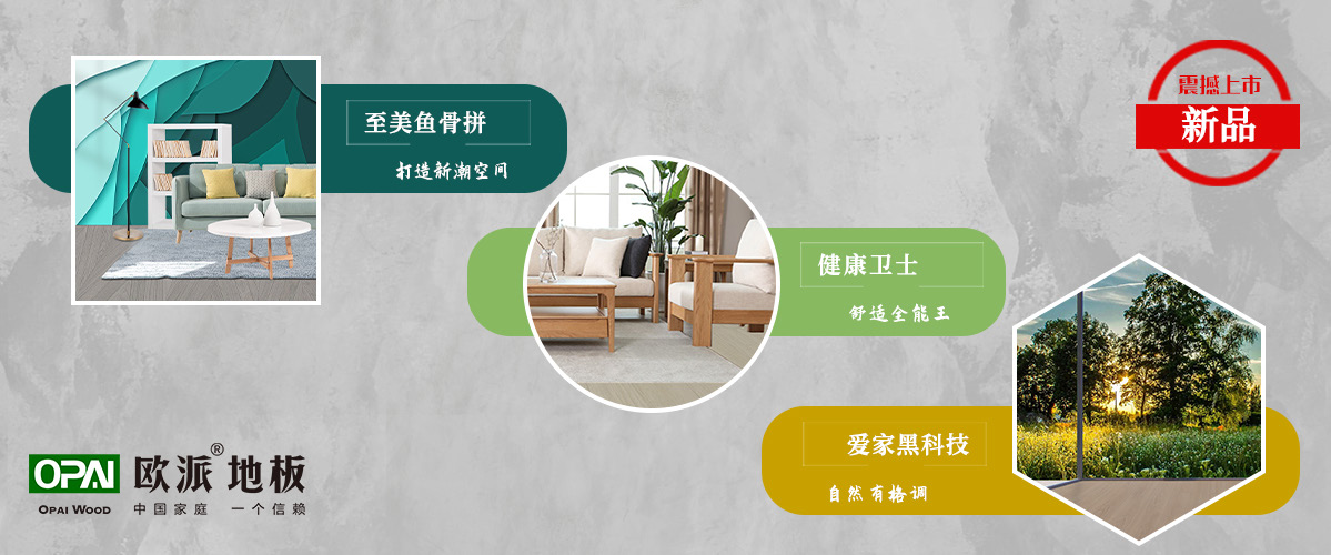 強(qiáng)化地板新品