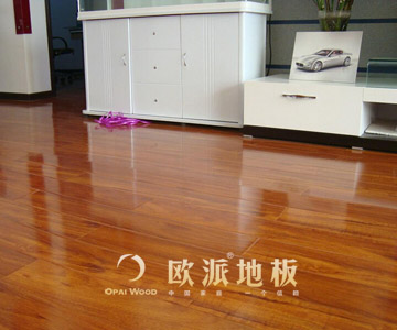 強(qiáng)化地板